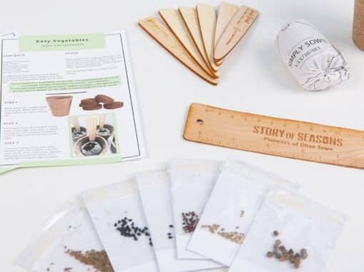 Story of All Seasons Influencer Kit